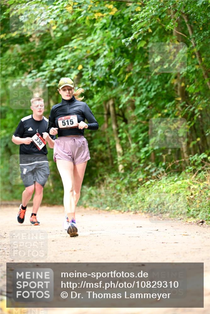 11.10.2026 - Bramfelder Halbmarathon 2026 Dr. Thomas Lammeyer http://msf.ph/oto/10829310 11.10.2026 11:09:37 Laufen 330, 279, 515 meine-sportfotos.de