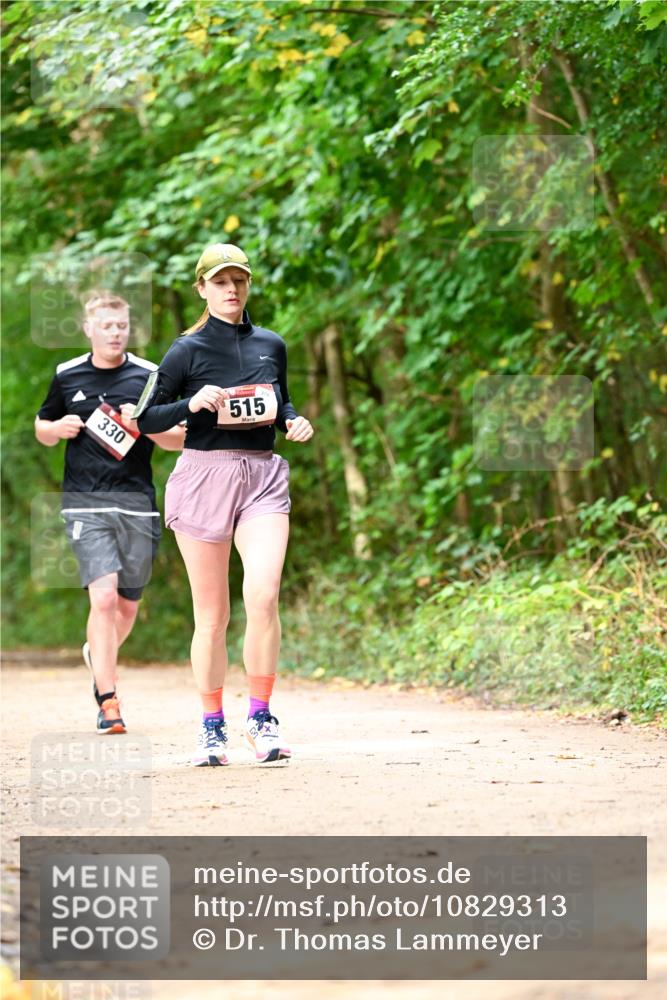 11.10.2026 - Bramfelder Halbmarathon 2026 Dr. Thomas Lammeyer http://msf.ph/oto/10829313 11.10.2026 11:09:38 Laufen 330, 515 meine-sportfotos.de