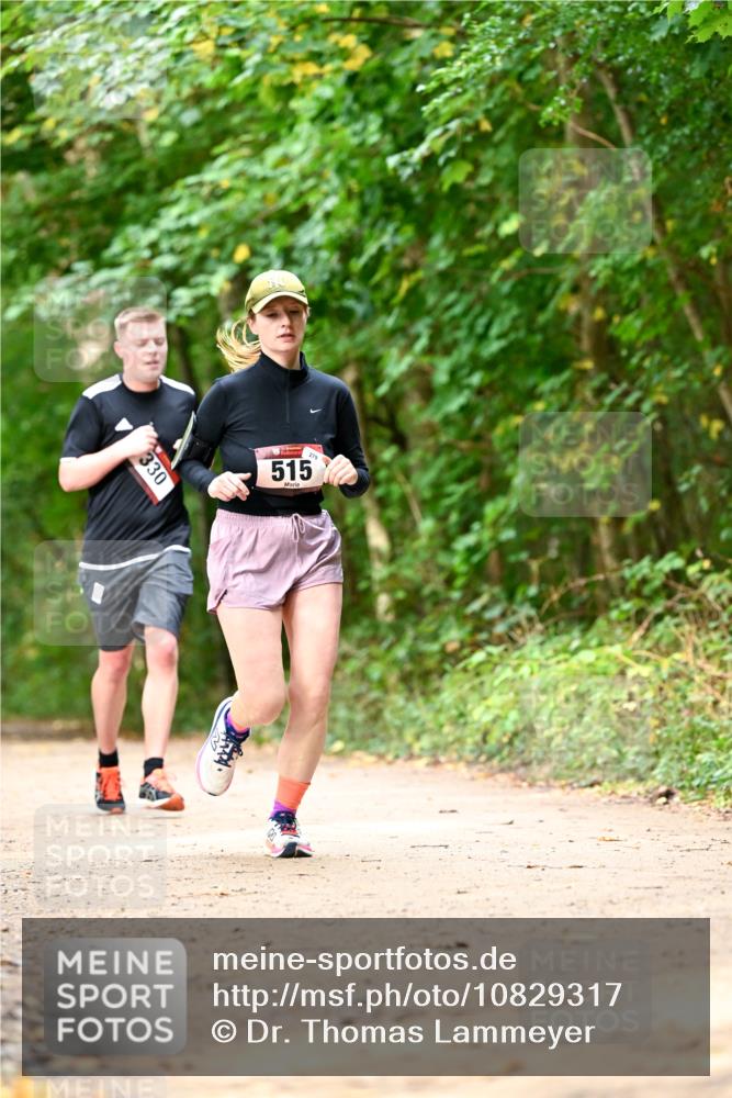 11.10.2026 - Bramfelder Halbmarathon 2026 Dr. Thomas Lammeyer http://msf.ph/oto/10829317 11.10.2026 11:09:38 Laufen 330, 515, 279 meine-sportfotos.de