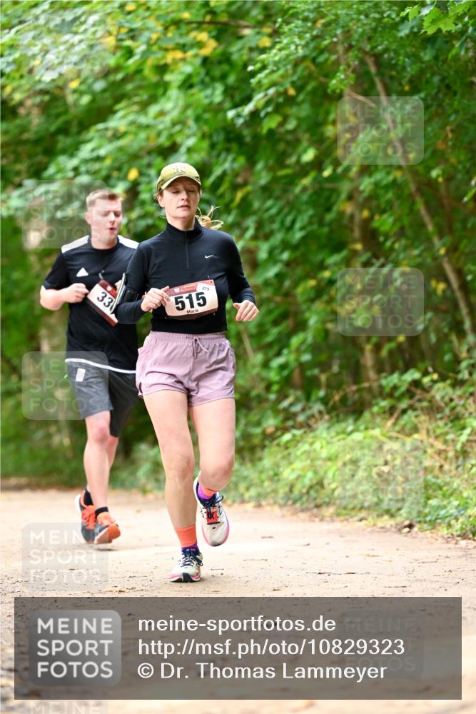 11.10.2026 - Bramfelder Halbmarathon 2026 Dr. Thomas Lammeyer http://msf.ph/oto/10829323 11.10.2026 11:09:38 Laufen 33, 279, 515 meine-sportfotos.de