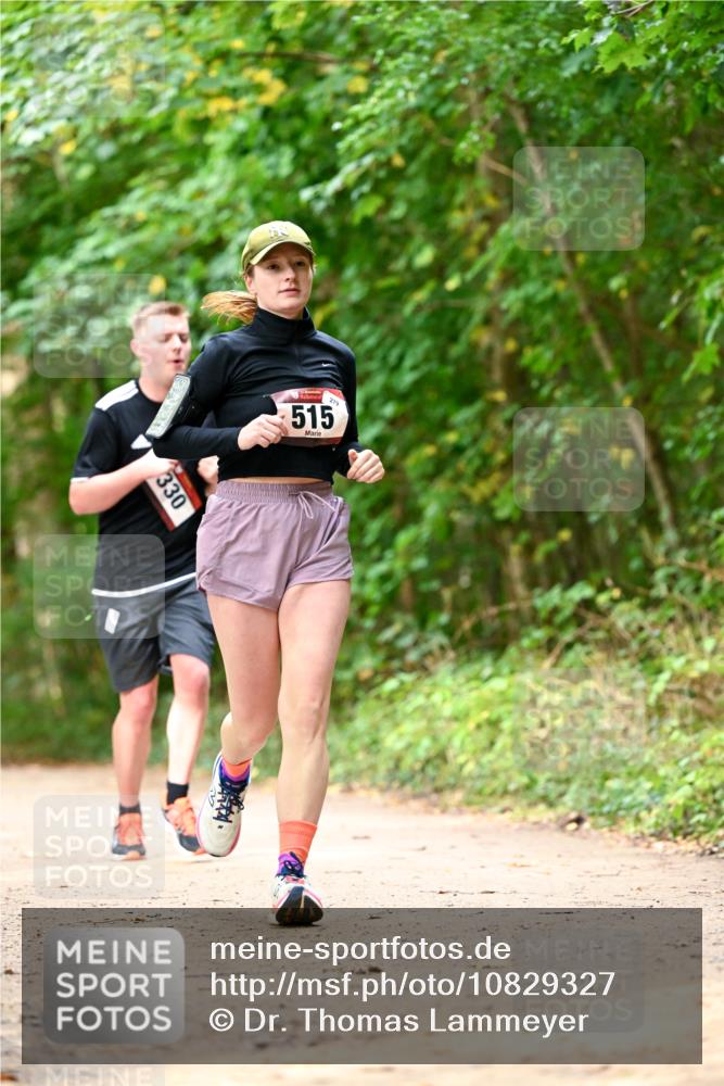 11.10.2026 - Bramfelder Halbmarathon 2026 Dr. Thomas Lammeyer http://msf.ph/oto/10829327 11.10.2026 11:09:39 Laufen 330, 279, 515 meine-sportfotos.de