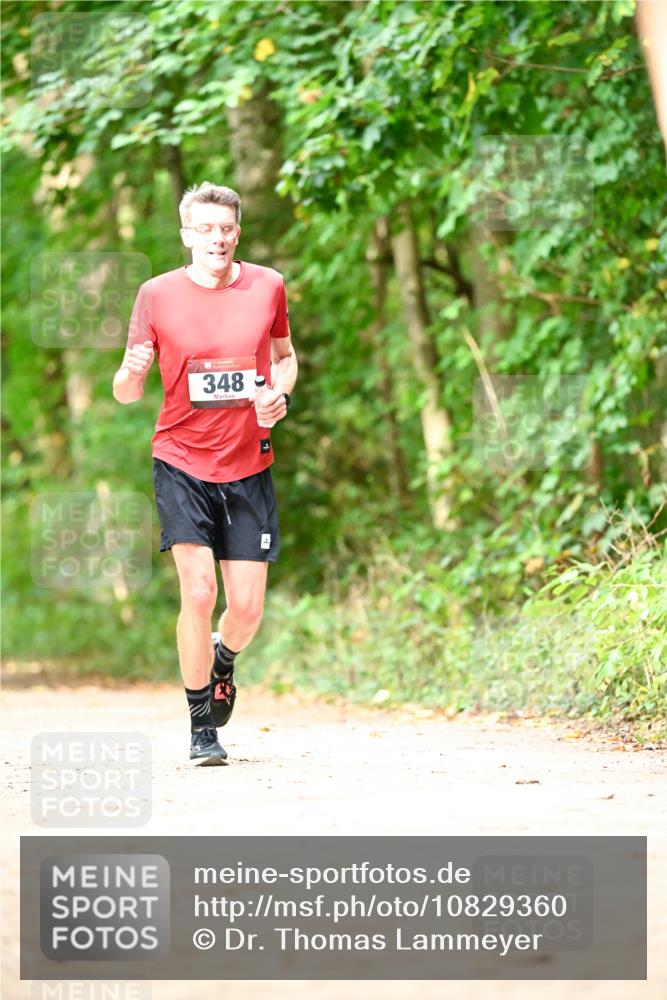 11.10.2026 - Bramfelder Halbmarathon 2026 Dr. Thomas Lammeyer http://msf.ph/oto/10829360 11.10.2026 11:09:59 Laufen 348 meine-sportfotos.de