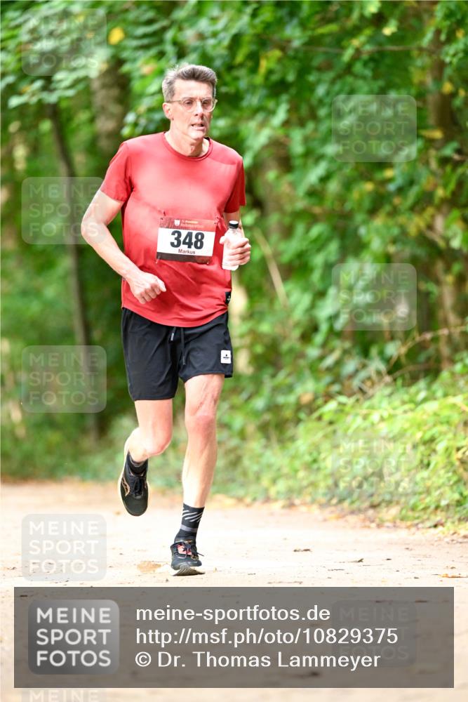 11.10.2026 - Bramfelder Halbmarathon 2026 Dr. Thomas Lammeyer http://msf.ph/oto/10829375 11.10.2026 11:10:00 Laufen 348 meine-sportfotos.de
