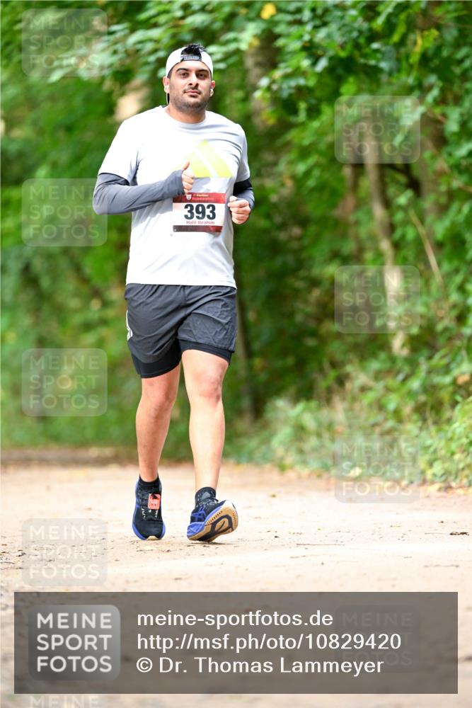 11.10.2026 - Bramfelder Halbmarathon 2026 Dr. Thomas Lammeyer http://msf.ph/oto/10829420 11.10.2026 11:10:20 Laufen 393 meine-sportfotos.de