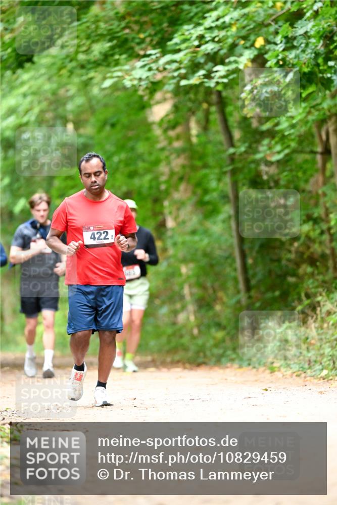 11.10.2026 - Bramfelder Halbmarathon 2026 Dr. Thomas Lammeyer http://msf.ph/oto/10829459 11.10.2026 11:10:34 Laufen 422 meine-sportfotos.de