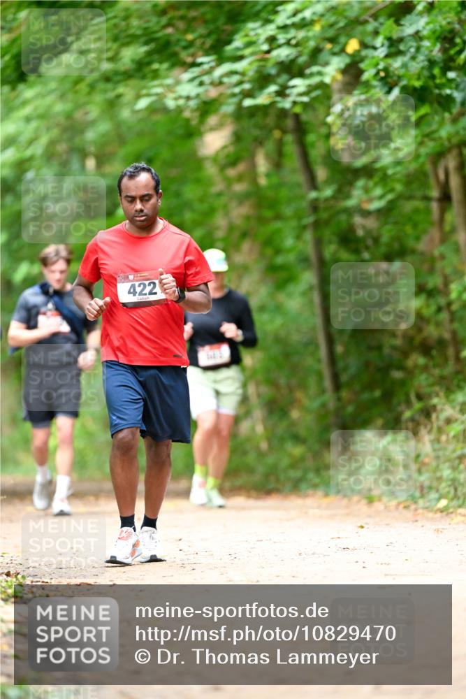 11.10.2026 - Bramfelder Halbmarathon 2026 Dr. Thomas Lammeyer http://msf.ph/oto/10829470 11.10.2026 11:10:35 Laufen 422 meine-sportfotos.de
