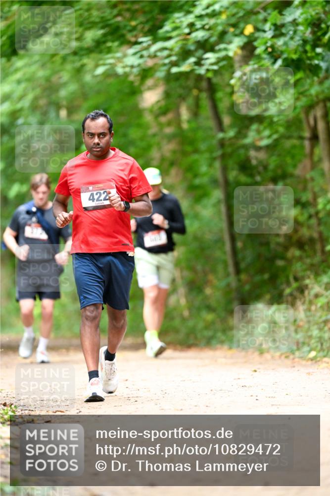 11.10.2026 - Bramfelder Halbmarathon 2026 Dr. Thomas Lammeyer http://msf.ph/oto/10829472 11.10.2026 11:10:35 Laufen 422 meine-sportfotos.de