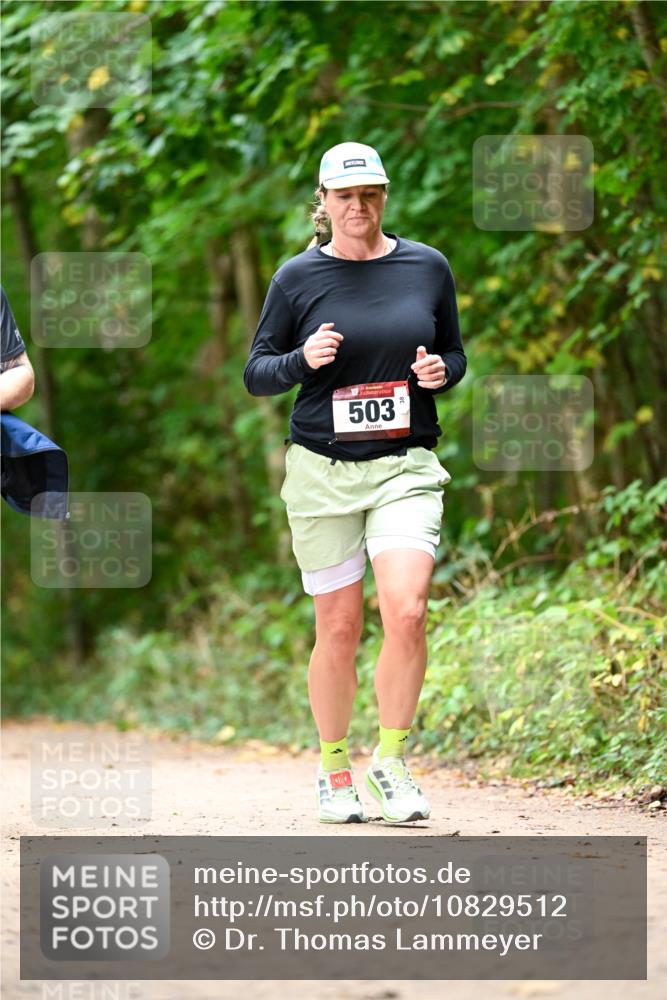 11.10.2026 - Bramfelder Halbmarathon 2026 Dr. Thomas Lammeyer http://msf.ph/oto/10829512 11.10.2026 11:10:40 Laufen 503 meine-sportfotos.de