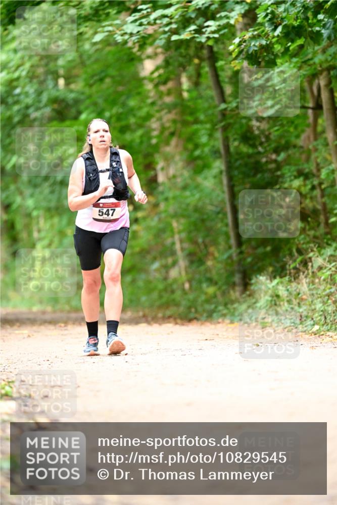 11.10.2026 - Bramfelder Halbmarathon 2026 Dr. Thomas Lammeyer http://msf.ph/oto/10829545 11.10.2026 11:10:57 Laufen 547 meine-sportfotos.de