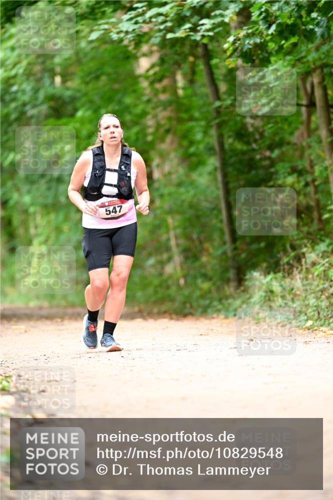 11.10.2026 - Bramfelder Halbmarathon 2026 Dr. Thomas Lammeyer http://msf.ph/oto/10829548 11.10.2026 11:10:57 Laufen 547 meine-sportfotos.de