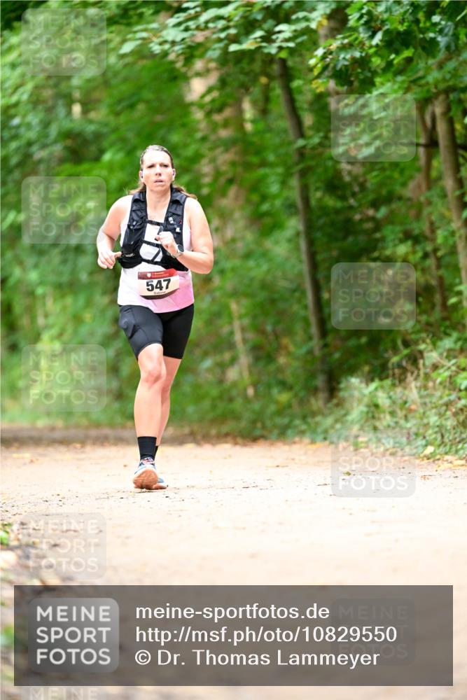 11.10.2026 - Bramfelder Halbmarathon 2026 Dr. Thomas Lammeyer http://msf.ph/oto/10829550 11.10.2026 11:10:57 Laufen 547 meine-sportfotos.de