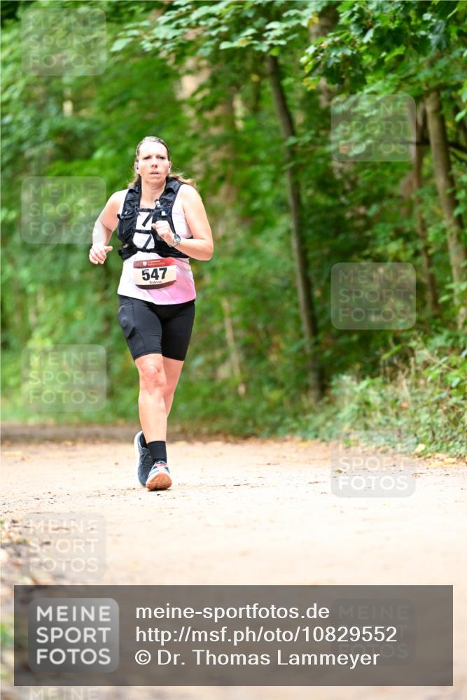 11.10.2026 - Bramfelder Halbmarathon 2026 Dr. Thomas Lammeyer http://msf.ph/oto/10829552 11.10.2026 11:10:58 Laufen 547 meine-sportfotos.de