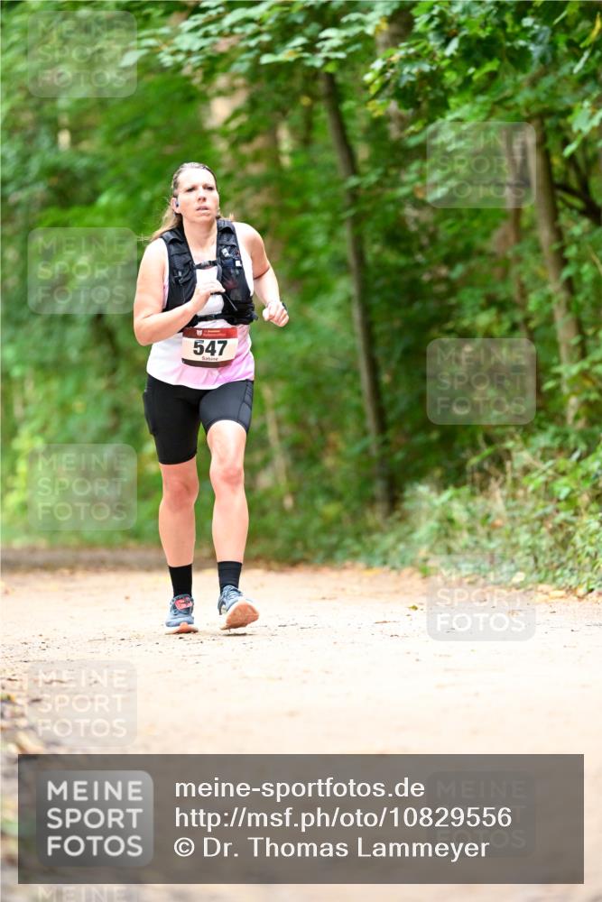 11.10.2026 - Bramfelder Halbmarathon 2026 Dr. Thomas Lammeyer http://msf.ph/oto/10829556 11.10.2026 11:10:58 Laufen 547 meine-sportfotos.de