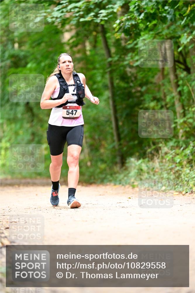 11.10.2026 - Bramfelder Halbmarathon 2026 Dr. Thomas Lammeyer http://msf.ph/oto/10829558 11.10.2026 11:10:58 Laufen 547 meine-sportfotos.de
