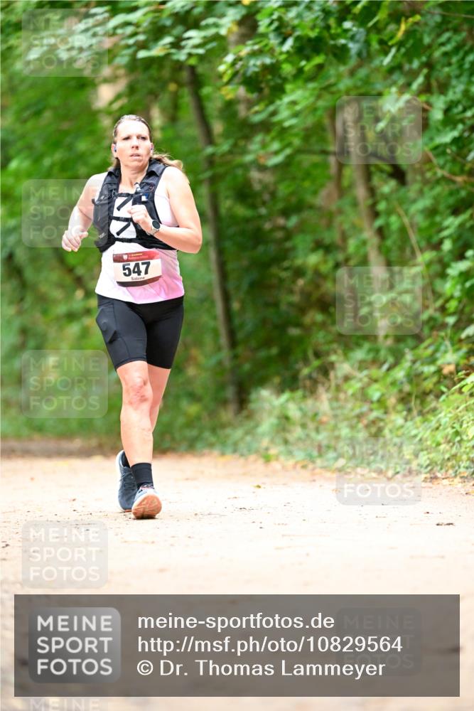 11.10.2026 - Bramfelder Halbmarathon 2026 Dr. Thomas Lammeyer http://msf.ph/oto/10829564 11.10.2026 11:10:58 Laufen 547 meine-sportfotos.de