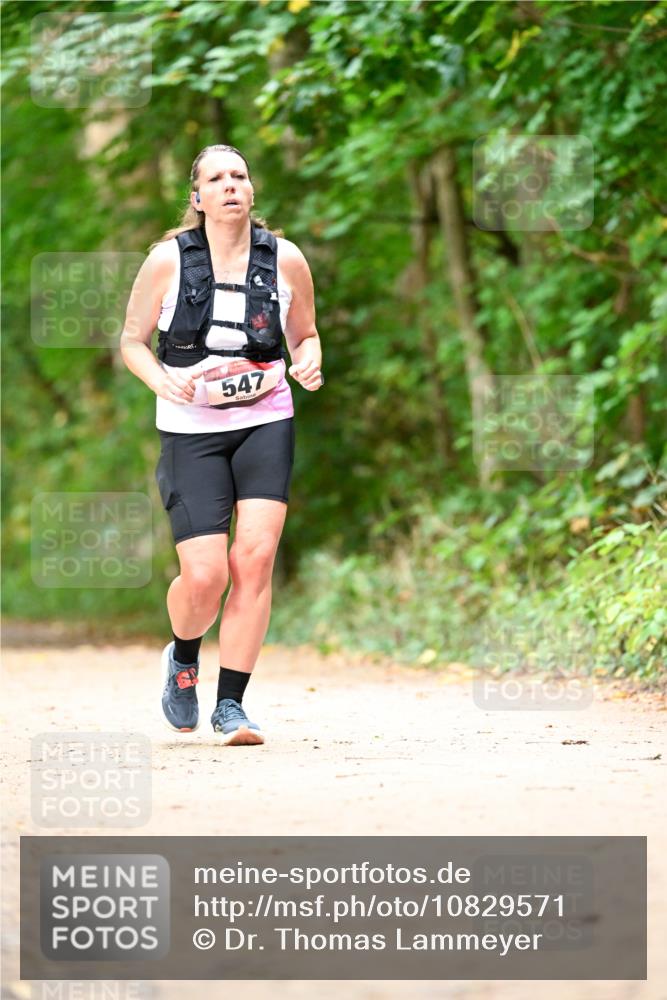11.10.2026 - Bramfelder Halbmarathon 2026 Dr. Thomas Lammeyer http://msf.ph/oto/10829571 11.10.2026 11:10:59 Laufen 547 meine-sportfotos.de