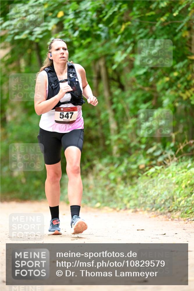 11.10.2026 - Bramfelder Halbmarathon 2026 Dr. Thomas Lammeyer http://msf.ph/oto/10829579 11.10.2026 11:10:59 Laufen 547 meine-sportfotos.de