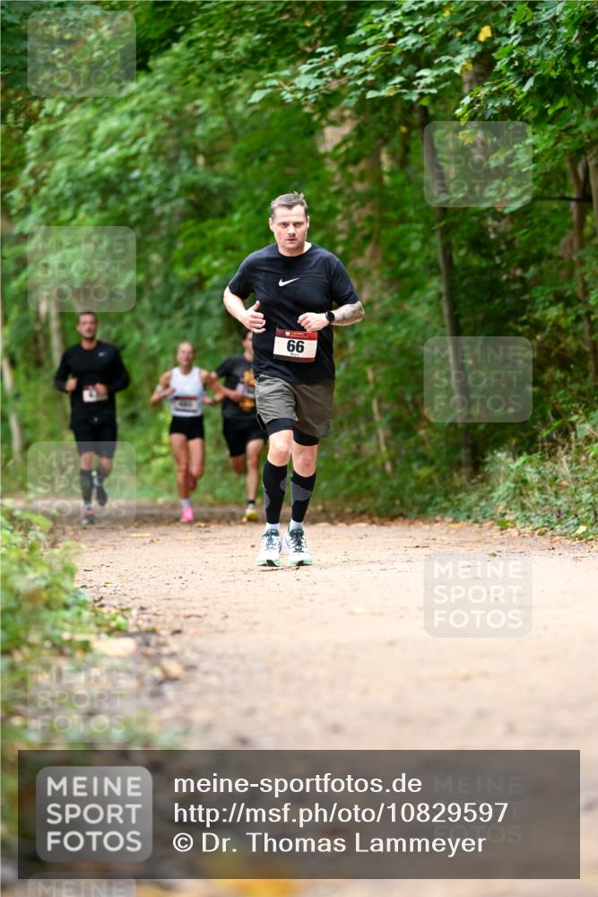 11.10.2026 - Bramfelder Halbmarathon 2026 Dr. Thomas Lammeyer http://msf.ph/oto/10829597 11.10.2026 11:11:08 Laufen 99 meine-sportfotos.de