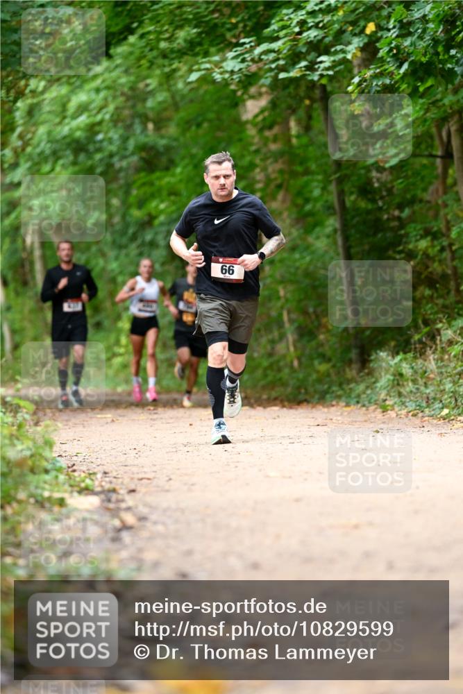 11.10.2026 - Bramfelder Halbmarathon 2026 Dr. Thomas Lammeyer http://msf.ph/oto/10829599 11.10.2026 11:11:08 Laufen 66 meine-sportfotos.de