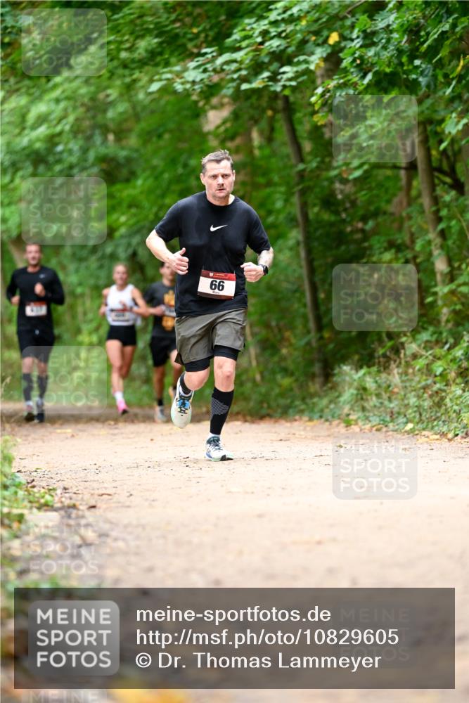 11.10.2026 - Bramfelder Halbmarathon 2026 Dr. Thomas Lammeyer http://msf.ph/oto/10829605 11.10.2026 11:11:09 Laufen 66 meine-sportfotos.de