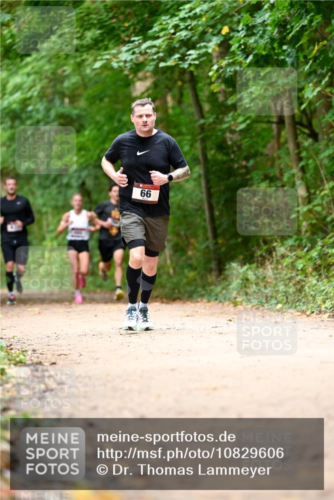 11.10.2026 - Bramfelder Halbmarathon 2026 Dr. Thomas Lammeyer http://msf.ph/oto/10829606 11.10.2026 11:11:09 Laufen 66 meine-sportfotos.de