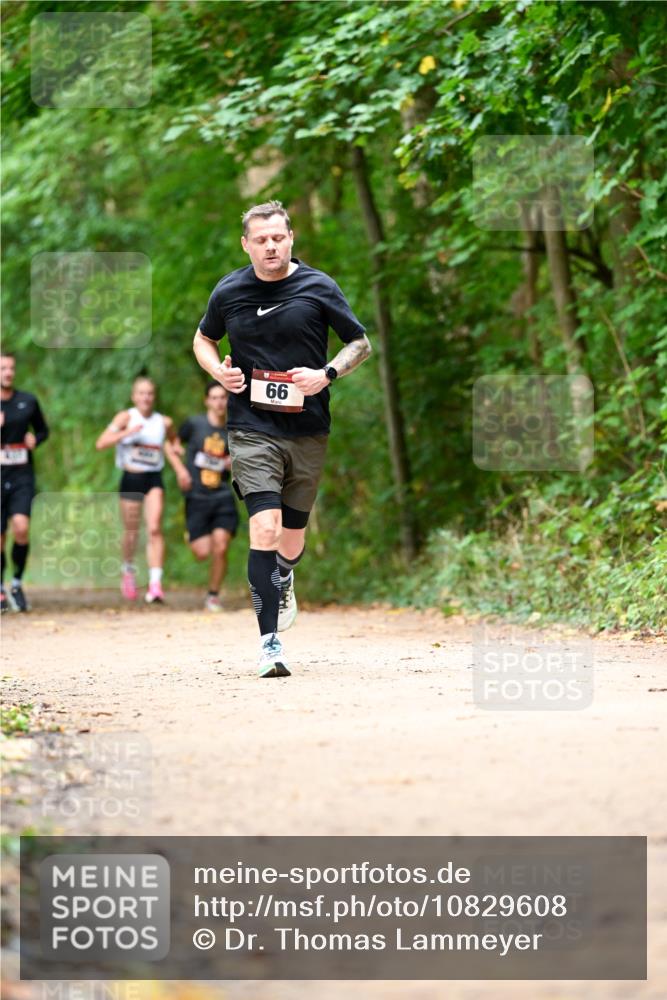 11.10.2026 - Bramfelder Halbmarathon 2026 Dr. Thomas Lammeyer http://msf.ph/oto/10829608 11.10.2026 11:11:09 Laufen 66 meine-sportfotos.de