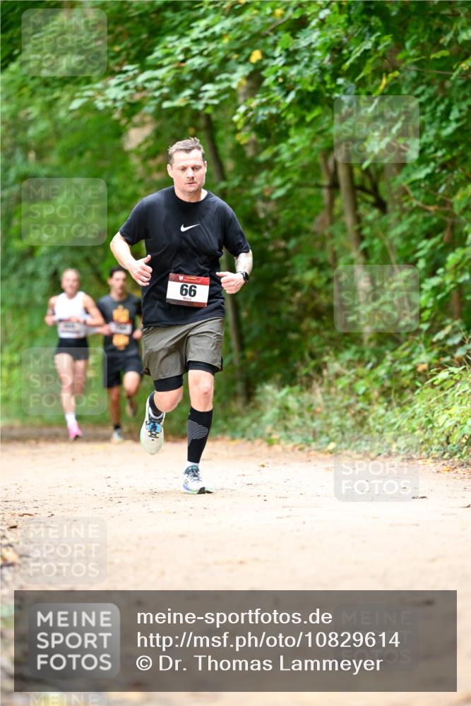 11.10.2026 - Bramfelder Halbmarathon 2026 Dr. Thomas Lammeyer http://msf.ph/oto/10829614 11.10.2026 11:11:09 Laufen 66 meine-sportfotos.de