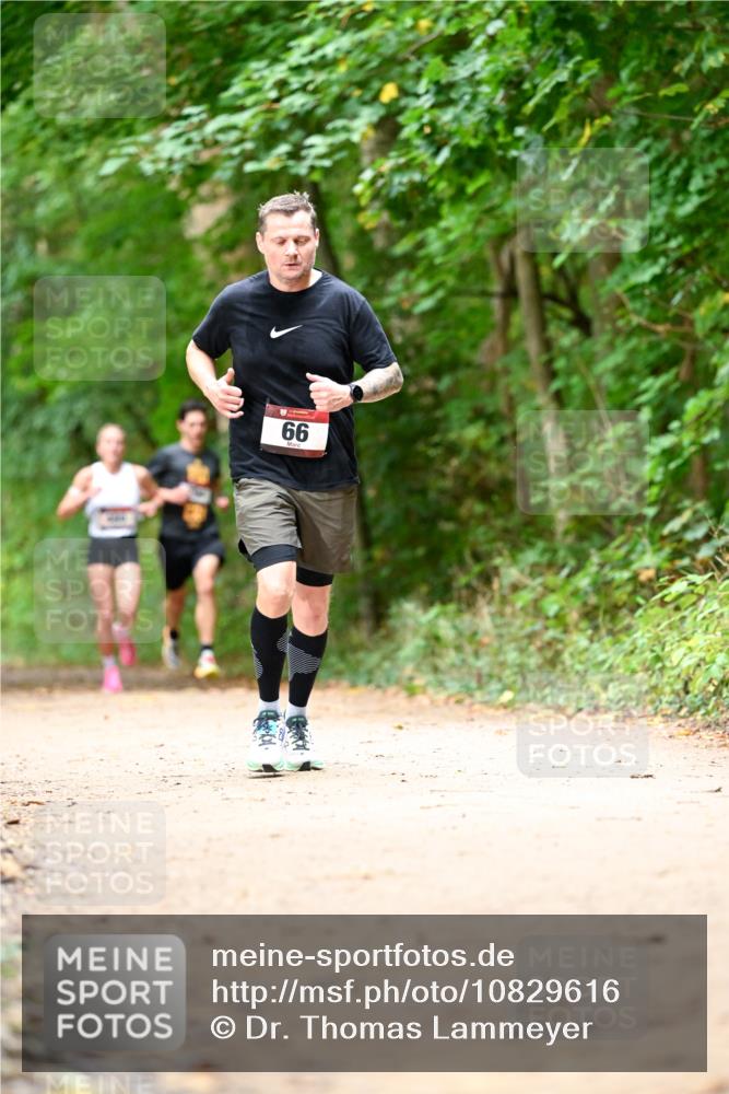 11.10.2026 - Bramfelder Halbmarathon 2026 Dr. Thomas Lammeyer http://msf.ph/oto/10829616 11.10.2026 11:11:09 Laufen 66 meine-sportfotos.de
