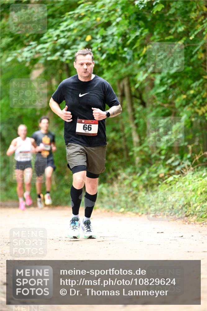 11.10.2026 - Bramfelder Halbmarathon 2026 Dr. Thomas Lammeyer http://msf.ph/oto/10829624 11.10.2026 11:11:10 Laufen 66 meine-sportfotos.de