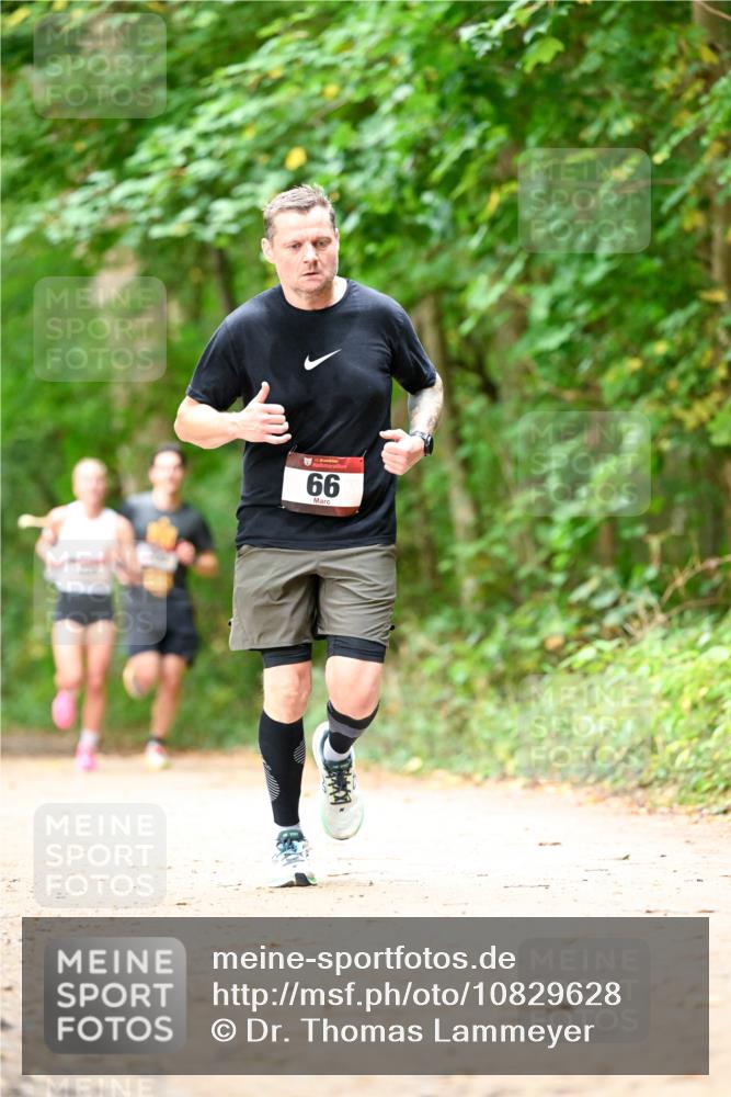 11.10.2026 - Bramfelder Halbmarathon 2026 Dr. Thomas Lammeyer http://msf.ph/oto/10829628 11.10.2026 11:11:10 Laufen 66 meine-sportfotos.de