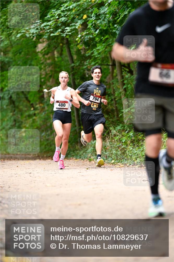 11.10.2026 - Bramfelder Halbmarathon 2026 Dr. Thomas Lammeyer http://msf.ph/oto/10829637 11.10.2026 11:11:12 Laufen 794, 480 meine-sportfotos.de