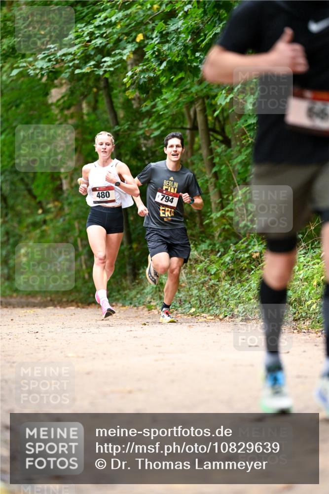 11.10.2026 - Bramfelder Halbmarathon 2026 Dr. Thomas Lammeyer http://msf.ph/oto/10829639 11.10.2026 11:11:12 Laufen 480, 794 meine-sportfotos.de