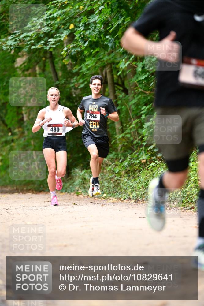 11.10.2026 - Bramfelder Halbmarathon 2026 Dr. Thomas Lammeyer http://msf.ph/oto/10829641 11.10.2026 11:11:12 Laufen 480, 794 meine-sportfotos.de