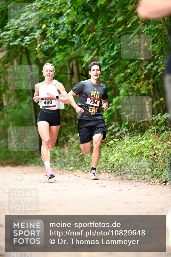 11.10.2026 - Bramfelder Halbmarathon 2026 Dr. Thomas Lammeyer http://msf.ph/oto/10829648 11.10.2026 11:11:12 Laufen 794, 480 meine-sportfotos.de