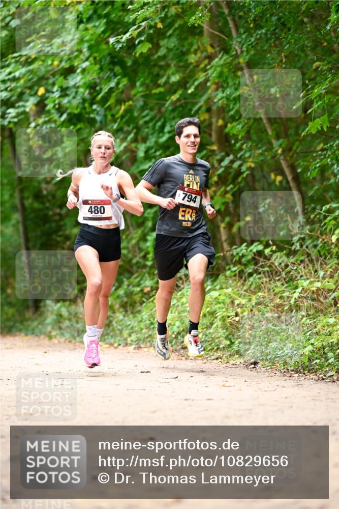 11.10.2026 - Bramfelder Halbmarathon 2026 Dr. Thomas Lammeyer http://msf.ph/oto/10829656 11.10.2026 11:11:13 Laufen 480, 794 meine-sportfotos.de