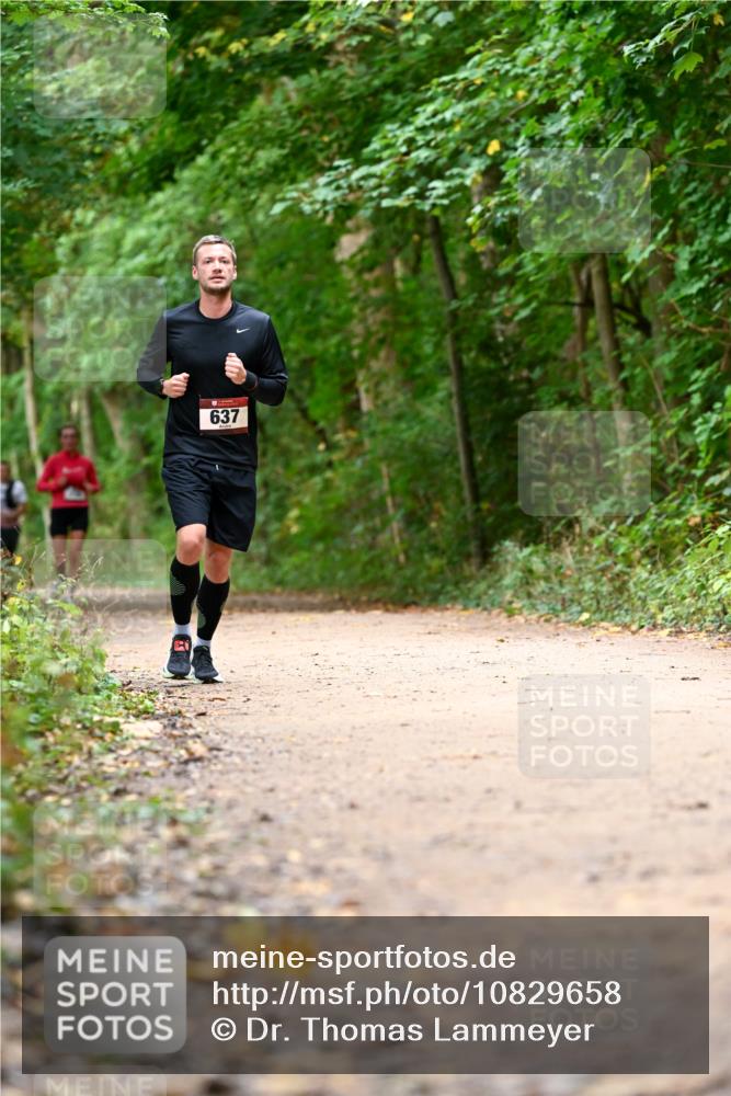 11.10.2026 - Bramfelder Halbmarathon 2026 Dr. Thomas Lammeyer http://msf.ph/oto/10829658 11.10.2026 11:11:14 Laufen 637 meine-sportfotos.de