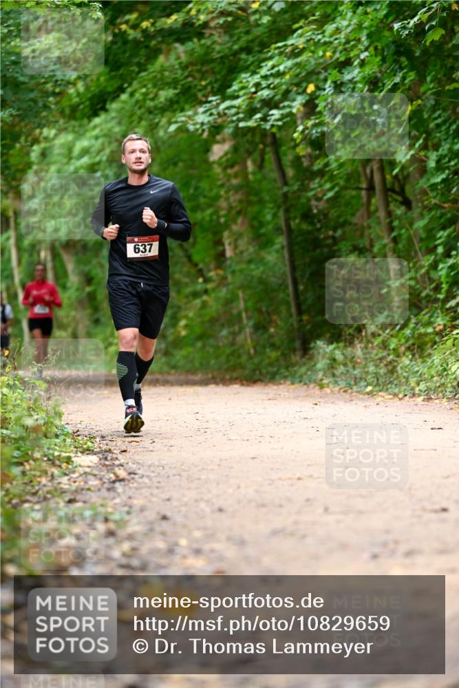 11.10.2026 - Bramfelder Halbmarathon 2026 Dr. Thomas Lammeyer http://msf.ph/oto/10829659 11.10.2026 11:11:14 Laufen 637 meine-sportfotos.de