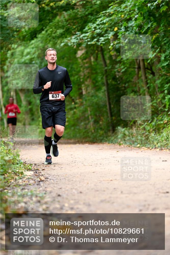 11.10.2026 - Bramfelder Halbmarathon 2026 Dr. Thomas Lammeyer http://msf.ph/oto/10829661 11.10.2026 11:11:14 Laufen 637 meine-sportfotos.de