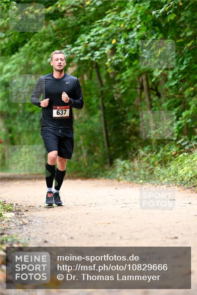 11.10.2026 - Bramfelder Halbmarathon 2026 Dr. Thomas Lammeyer http://msf.ph/oto/10829666 11.10.2026 11:11:15 Laufen 637 meine-sportfotos.de