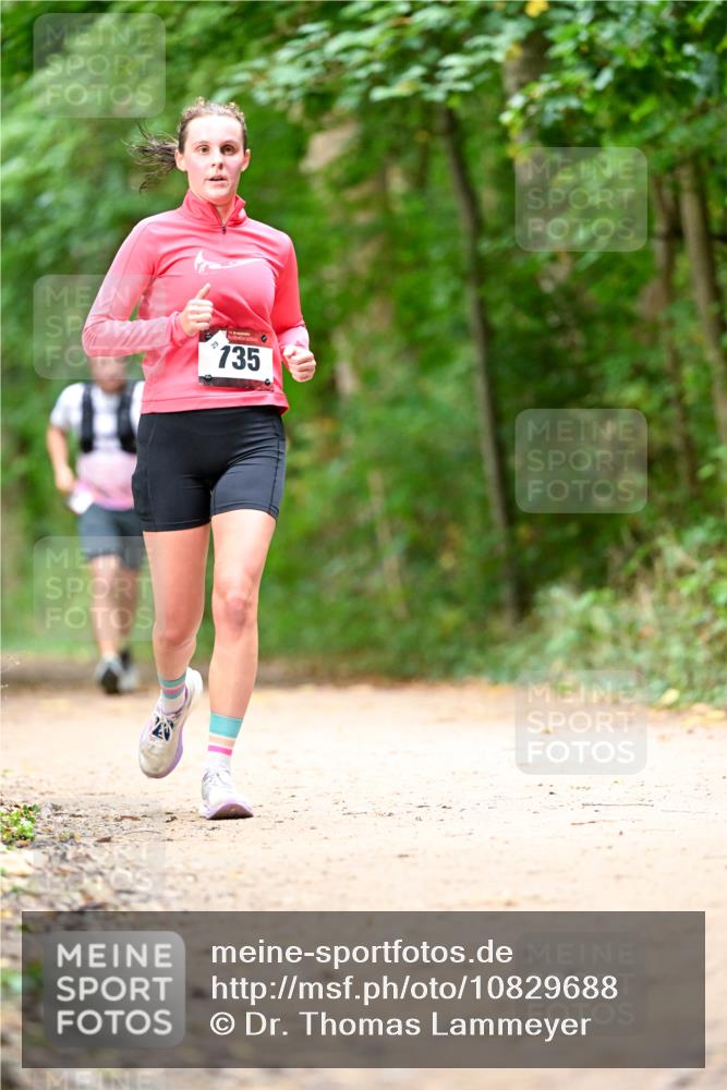 11.10.2026 - Bramfelder Halbmarathon 2026 Dr. Thomas Lammeyer http://msf.ph/oto/10829688 11.10.2026 11:11:21 Laufen 29, 735 meine-sportfotos.de