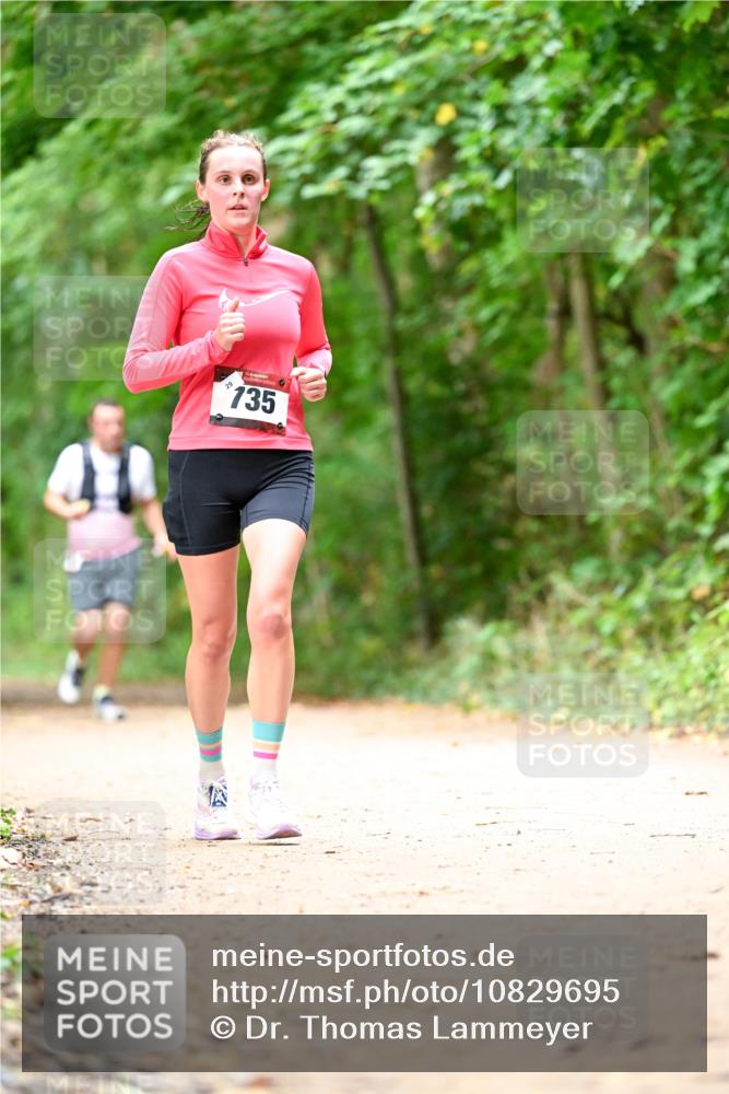 11.10.2026 - Bramfelder Halbmarathon 2026 Dr. Thomas Lammeyer http://msf.ph/oto/10829695 11.10.2026 11:11:22 Laufen 29, 735 meine-sportfotos.de