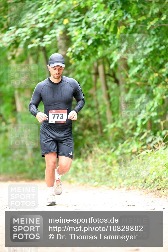 11.10.2026 - Bramfelder Halbmarathon 2026 Dr. Thomas Lammeyer http://msf.ph/oto/10829802 11.10.2026 11:11:38 Laufen 246, 773 meine-sportfotos.de
