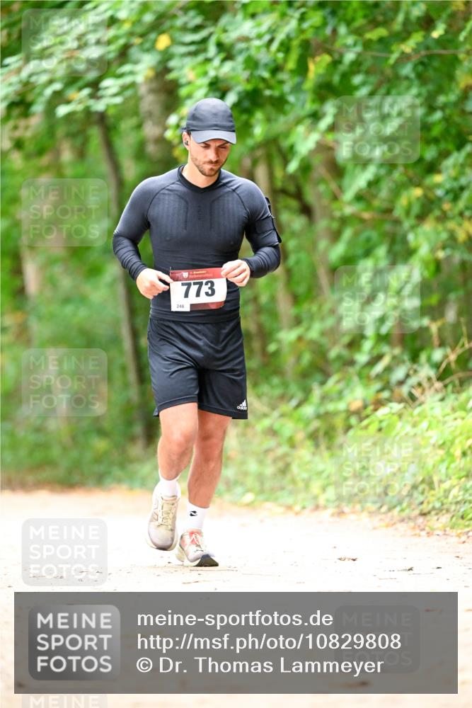 11.10.2026 - Bramfelder Halbmarathon 2026 Dr. Thomas Lammeyer http://msf.ph/oto/10829808 11.10.2026 11:11:38 Laufen 246, 773 meine-sportfotos.de