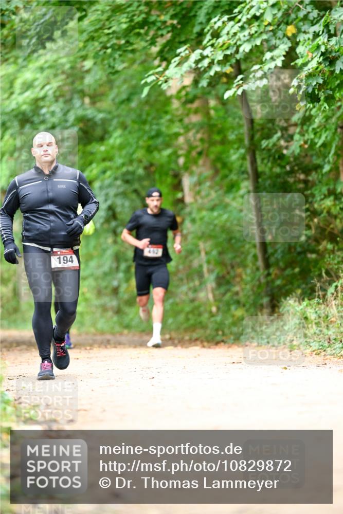 11.10.2026 - Bramfelder Halbmarathon 2026 Dr. Thomas Lammeyer http://msf.ph/oto/10829872 11.10.2026 11:11:52 Laufen 194, 452 meine-sportfotos.de