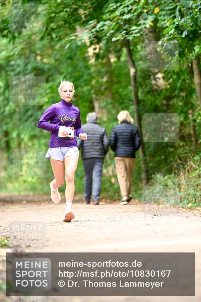 11.10.2026 - Bramfelder Halbmarathon 2026 Dr. Thomas Lammeyer http://msf.ph/oto/10830167 11.10.2026 11:12:40 Laufen  meine-sportfotos.de