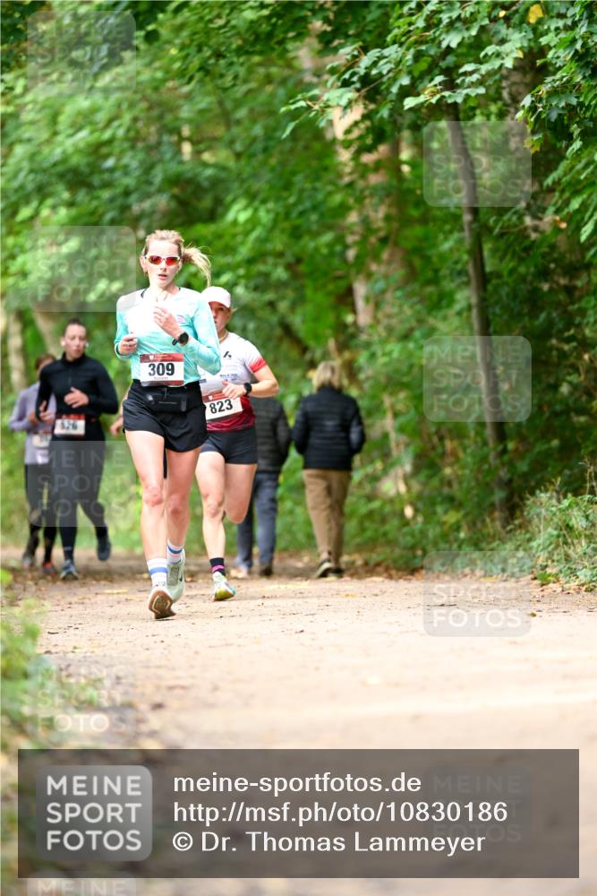 11.10.2026 - Bramfelder Halbmarathon 2026 Dr. Thomas Lammeyer http://msf.ph/oto/10830186 11.10.2026 11:12:46 Laufen 526, 309, 823 meine-sportfotos.de