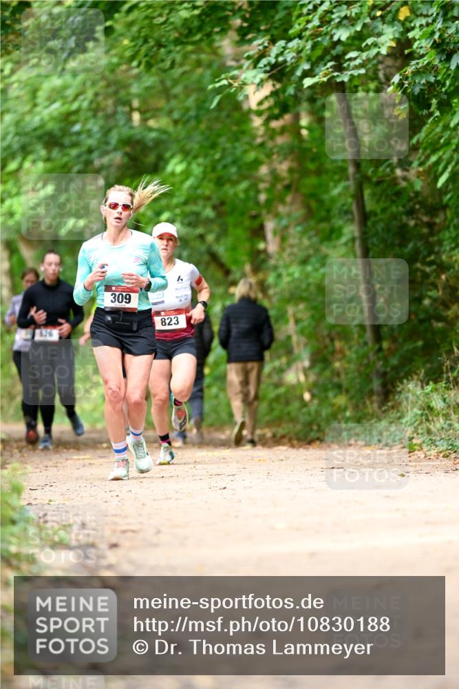 11.10.2026 - Bramfelder Halbmarathon 2026 Dr. Thomas Lammeyer http://msf.ph/oto/10830188 11.10.2026 11:12:46 Laufen 309, 823 meine-sportfotos.de