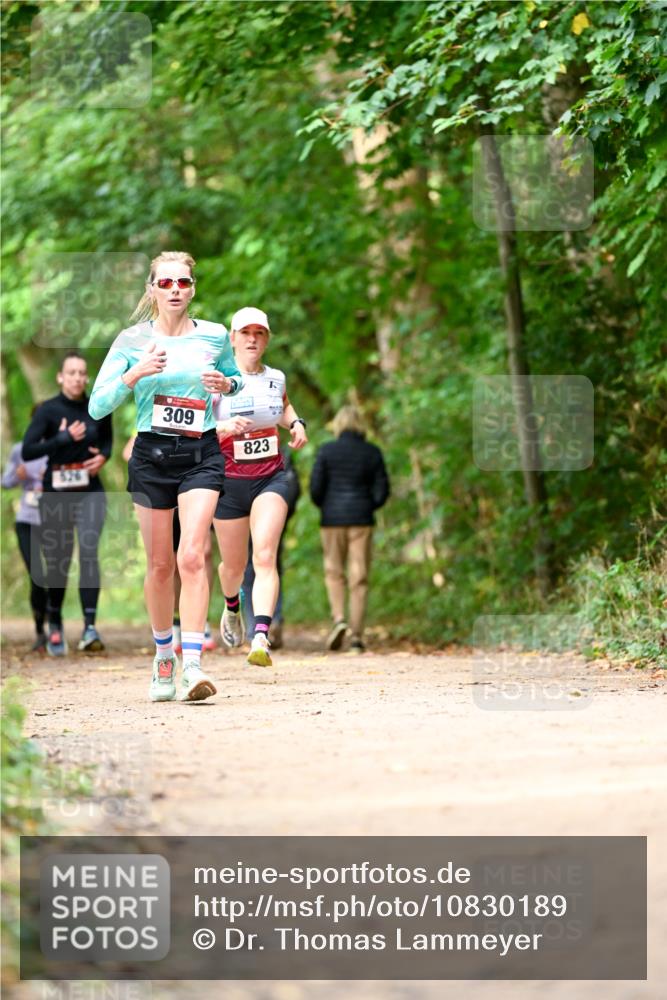 11.10.2026 - Bramfelder Halbmarathon 2026 Dr. Thomas Lammeyer http://msf.ph/oto/10830189 11.10.2026 11:12:47 Laufen 309, 823 meine-sportfotos.de