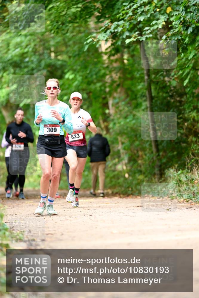 11.10.2026 - Bramfelder Halbmarathon 2026 Dr. Thomas Lammeyer http://msf.ph/oto/10830193 11.10.2026 11:12:47 Laufen 309, 823 meine-sportfotos.de