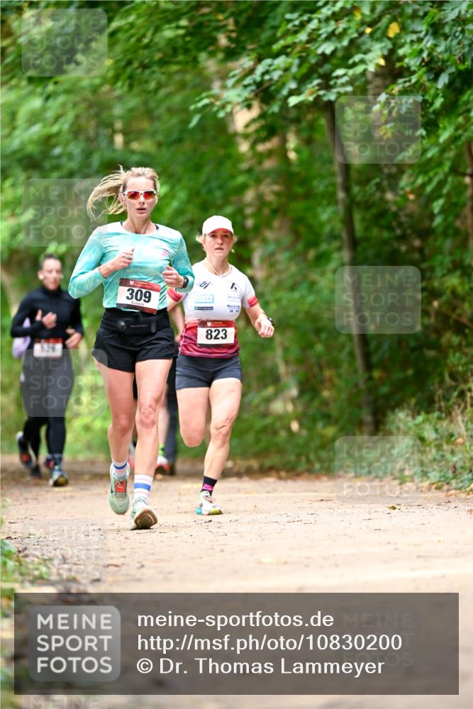 11.10.2026 - Bramfelder Halbmarathon 2026 Dr. Thomas Lammeyer http://msf.ph/oto/10830200 11.10.2026 11:12:47 Laufen 309, 823 meine-sportfotos.de